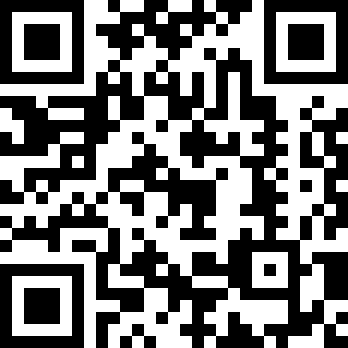 迷失猫咪的旅程