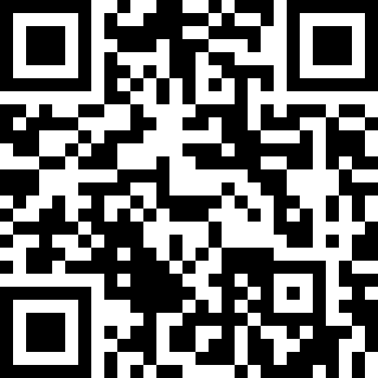 迷失猫咪的旅程