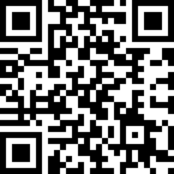 迷失猫咪的旅程