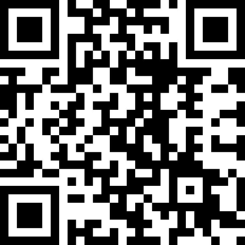 迷失猫咪的旅程