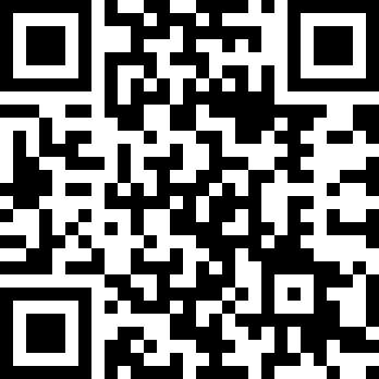 迷失猫咪的旅程