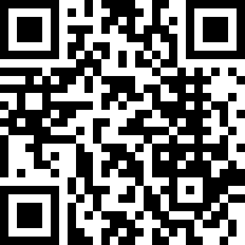 迷失猫咪的旅程