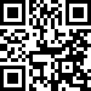 迷失猫咪的旅程