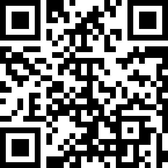 迷失猫咪的旅程