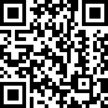 迷失猫咪的旅程