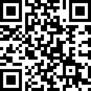 口袋妖怪刽曜之影