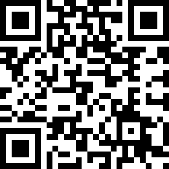 迷失猫咪的旅程