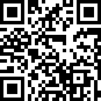 迷失猫咪的旅程