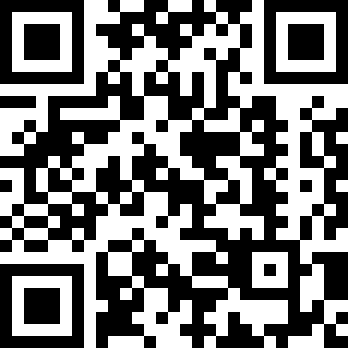 迷失猫咪的旅程