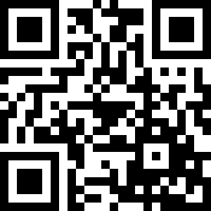 暴风雨海盗行动