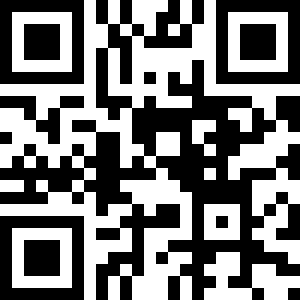 口袋妖怪刽曜之影